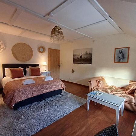 Les Gabelous - Chambre D'Hotes - Viroinval Dourbes Экстерьер фото